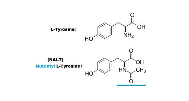 Difference Between L-Tyrosine and NALT