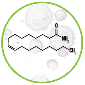 Oleamide