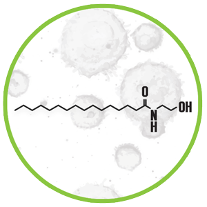 Palmitoylethanolamide