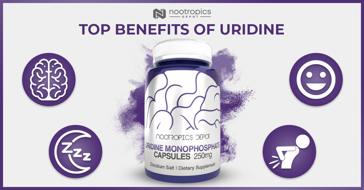 Alpha GPC + Uridine Bundle