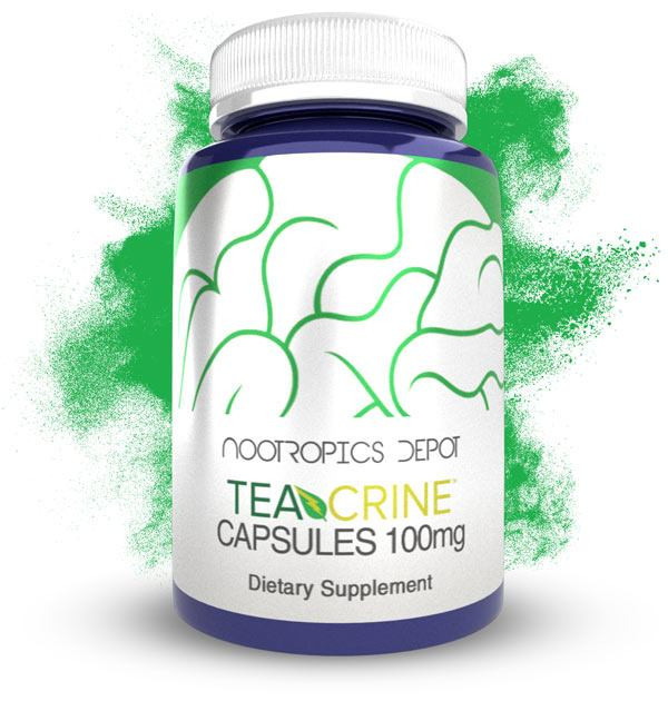 acetyl+l+carnitine Actyl-L-Carnitine