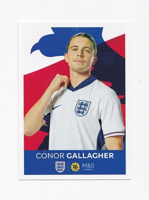 #021 - Conor Gallagher - Panini M&S Official England Collection 2024 - Sticker