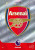 #28 Club Crest (Arsenal) Adrenalyn XL Premier League 2024