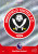 #298 Club Crest (Sheffield United) Adrenalyn XL Premier League 2024
