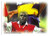 #029 Player & Stadium Montage No. 2 - Futera Arsenal 1999