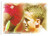 #074 Player & Stadium Montage No. 2 - Futera Liverpool 1999