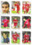 COMPLETE SET - Futera Liverpool 1999