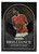 BRILLIANCE - #16 Anthony Elanga (Nottingham Forest) - Panini Prizm Premier League 2023/24