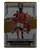 STAINLESS STARS - #11 Anthony Elanga (Nottingham Forest) - Gold Parallel 10/10 - Panini Impeccable Premier League 2023/24