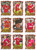 COMPLETE SET (Base & Cutting Edge Embossed) - Futera Liverpool 1999
