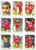 COMPLETE SET (Base & Cutting Edge Embossed) - Futera Liverpool 1999