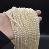 Freshwater Rice Pearl Beads - White - 4-5mm x 3-4mm - 15'' Strand, for Jewellery making, DIY