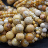 High Quality Grade A Natural Fossilized Coral Gemstone Round Beads 4mm, 6mm, 8mm, 10mm sizes