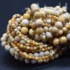 High Quality Grade A Natural Fossilized Coral Gemstone Round Beads 4mm, 6mm, 8mm, 10mm sizes