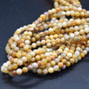 High Quality Grade A Natural Fossilized Coral Gemstone Round Beads 4mm, 6mm, 8mm, 10mm sizes