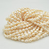 High Quality Grade A Natural Freshwater Rice Pearl Beads - Off White - approx 6mm - 8mm - approx 14"  strand