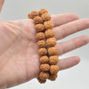 Rudraksha Seed Near Round Mala Prayer Wood Beads Bracelet Sample Strand