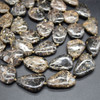 High Quality Grade A Natural Turritella Agate Semi-precious Gemstone Irregular Slices - 28mm x 22mm - 16'' Strand