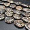 High Quality Grade A Natural Turritella Agate Semi-precious Gemstone Irregular Slices - 28mm x 22mm - 16'' Strand