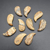 Natural Picture Jasper Semi-precious Gemstone Carved Feather Pendants - 2 Sizes