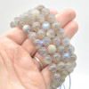 Blue Flash Grade AA Labradorite Semi-Precious Gemstone Round Beads / Sample Strand - 9.5mm - 7 inches