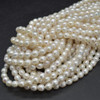 Natural Freshwater Irregular Oval Pearl Beads - White - 6mm - 7mm x 5mm - 6mm - 14'' Strand