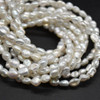 Natural Freshwater Baroque Nugget Pearl Beads - White - 4mm - 6mm - 15'' Strand, for Jewellery making DIY