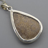 Fossilized Coral Teardrop Pendant In 925 Silver - 1 Piece - 4cm - No Chain