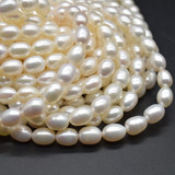 Pearl Rice Beads