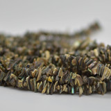 Abalone Shell Beads