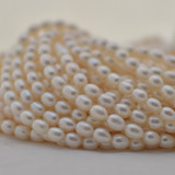 Pearl Rice Beads