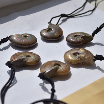 Natural Fire Opal Iridescent Ammonite Snail Shaped Semi-precious Gemstone Pendant - Approx length 4cm - 4.5cm Natural Fire Opal Iridescent Ammonite Snail Shaped Semi-precious Gemstone Pendant - Approx length 4cm - 4.5cm