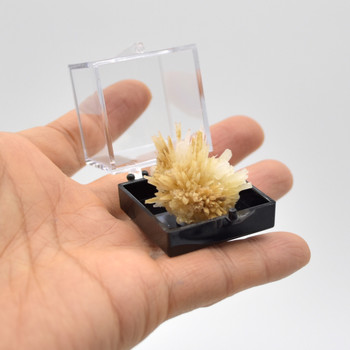 Raw Natural Aragonite Semi-precious Gemstone Mini Specimen Sample with display box - approx 6 - 12 grams per sample
