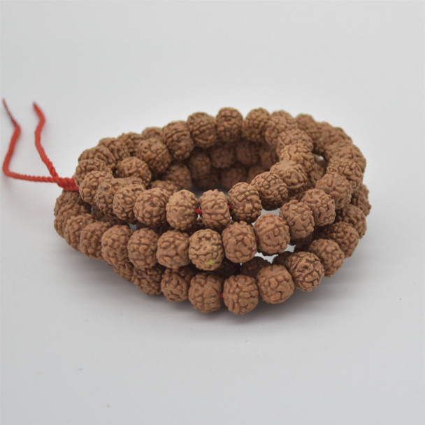 Natural Rudraksha Seed Rondelle / Barrel Beads - 112 beads - Mala Prayer Beads - 10mm - 11mm x 6mm