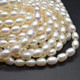 Pearl Rice Beads