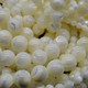 Mother of Pearl / Shell Beads
