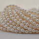 Pearl Rice Beads