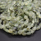 Prehnite