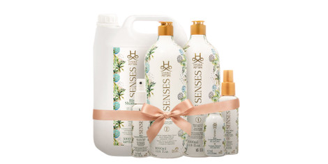 Hydra Senses Bliss - Bring the Spa Experience to your Salon