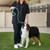 Groomer Essentials Royal Slip Lead