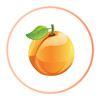 1 Litre - Apricot Flavoured Oil
