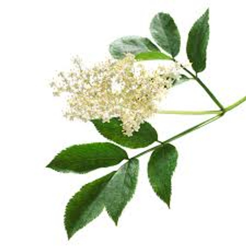 Elderflower  Flavoured Essence 30ml