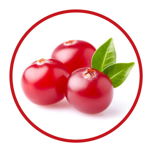 1 Litre - Cranberry Natural Flavoured Essence