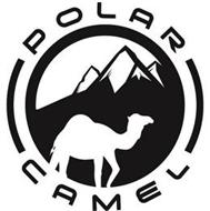 polar-camel-86970622.jpg