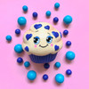 Silly Squishies Blueberry Muffin Squishy (LAST ONES) NO BOX