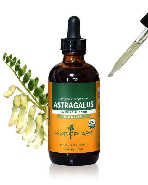 Herb Pharm Certified Organic Astragalus Liquid Extract Drops for Immune System Support, 4 Oz