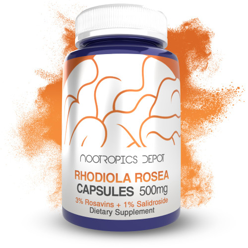 Nootropics Depot Rhodiola Rosea Capsules | 500mg | 3% Rosavins | 120 Count | Adaptogen Herb | Ayurvedic Supplement