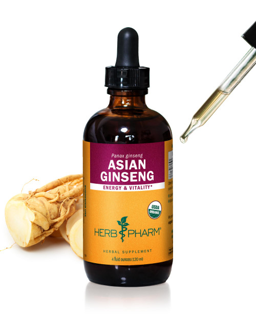 Herb Pharm Asian Ginseng Liquid Extract: Organic Herbal Energizer, Sharp Focus, Adaptogen for Life’s Daily Stress, Fast-Absorbing & Sugar-Free Panax Ginseng Root Tincture, Up to ~12 Week Supply, 4 oz*