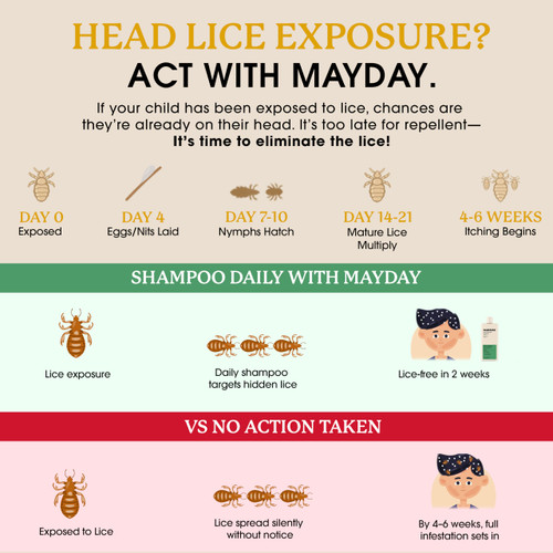 MAYDAY Daily Lice Routine Bundle – 12oz Shampoo & 12oz Conditioner | Non-Toxic, Pesticide-Free, Scientifically Proven Lice Defense for All Hair Types | Sandalwood & Mint Formula