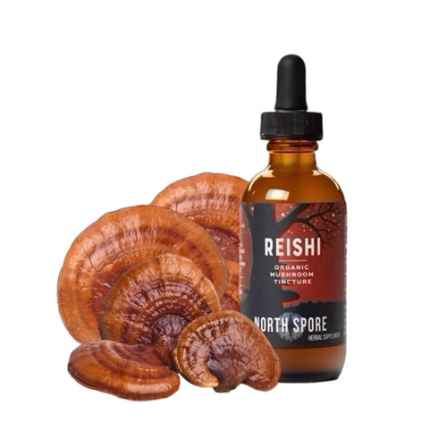 North Spore Organic Reishi Tincture, Mushroom Liquid Extract, 2 oz
